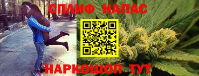 гидра Рязань