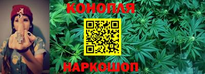 гидра Рязань