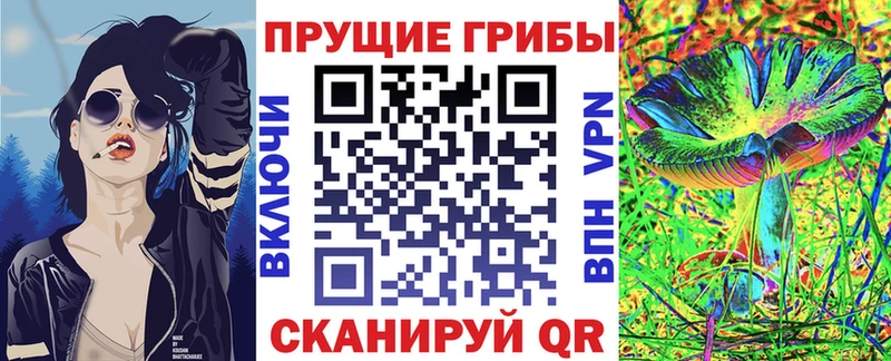 маркетплейс как зайти  Арзамас  Псилоцибиновые грибы Psilocybe 