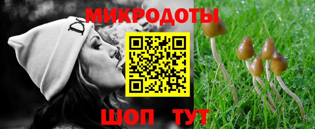 Псилоцибиновые грибы GOLDEN TEACHER Арзамас