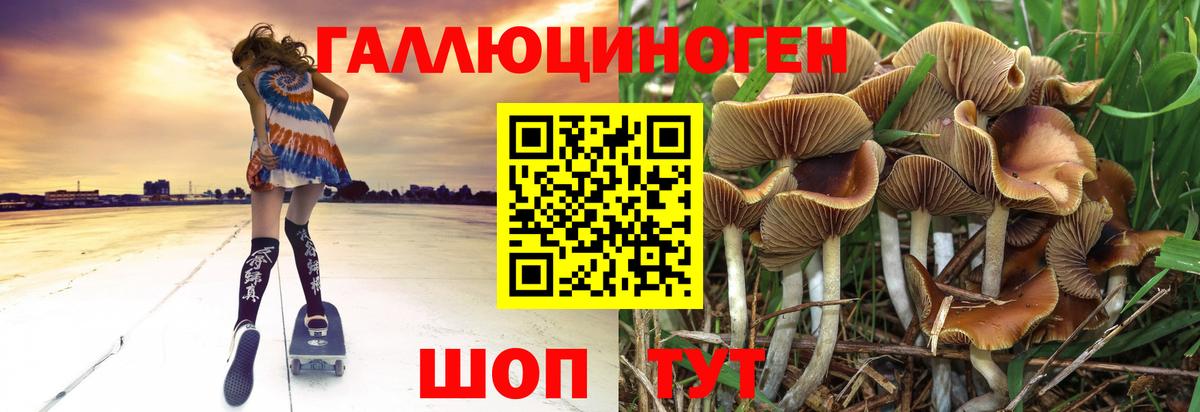 Арзамас  Галлюциногенные грибы Magic Shrooms  Вход с VPN 